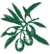 G-Olive-Icon